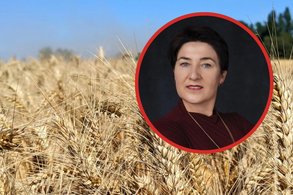 Potrzeba działań na rynku zbóż. Apeluje prezes Polskiego Związku Producentów Roślin Zbożowych