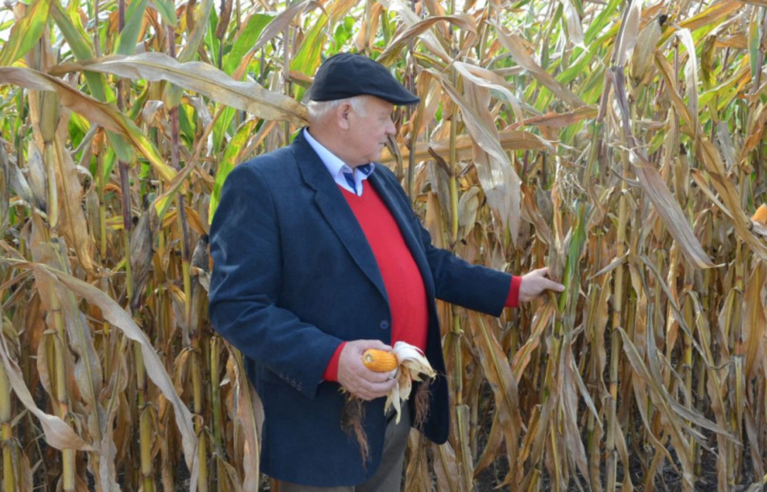 Rolnicy mają dość cenowego rozchwiania. Kontraktacja lekarstwem czy kolejnym ryzykiem?