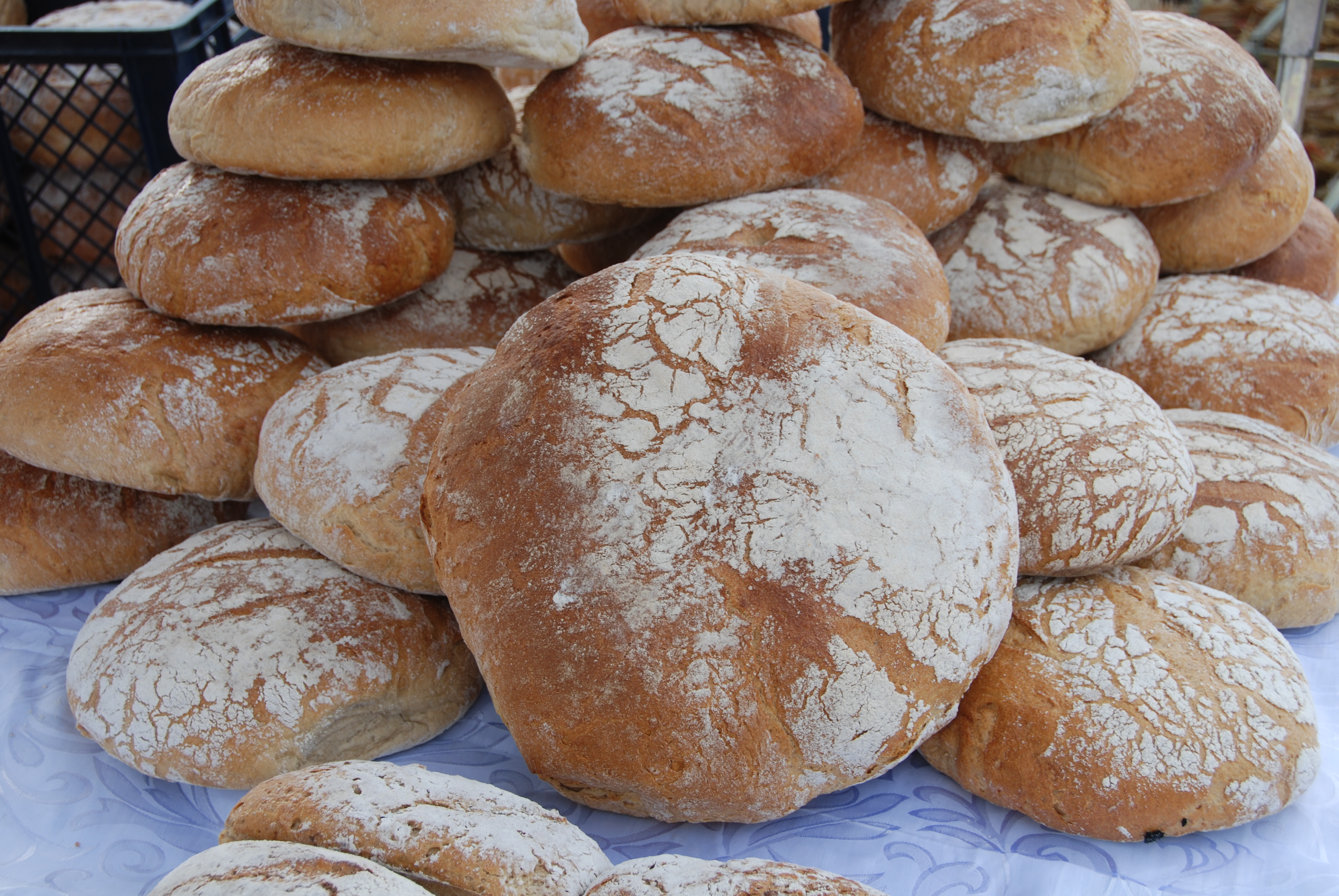 Polski Związek Producentów Roślin Zbożowych ocenia aktualną sytuację na rynku zbożowym – żniwa 2019