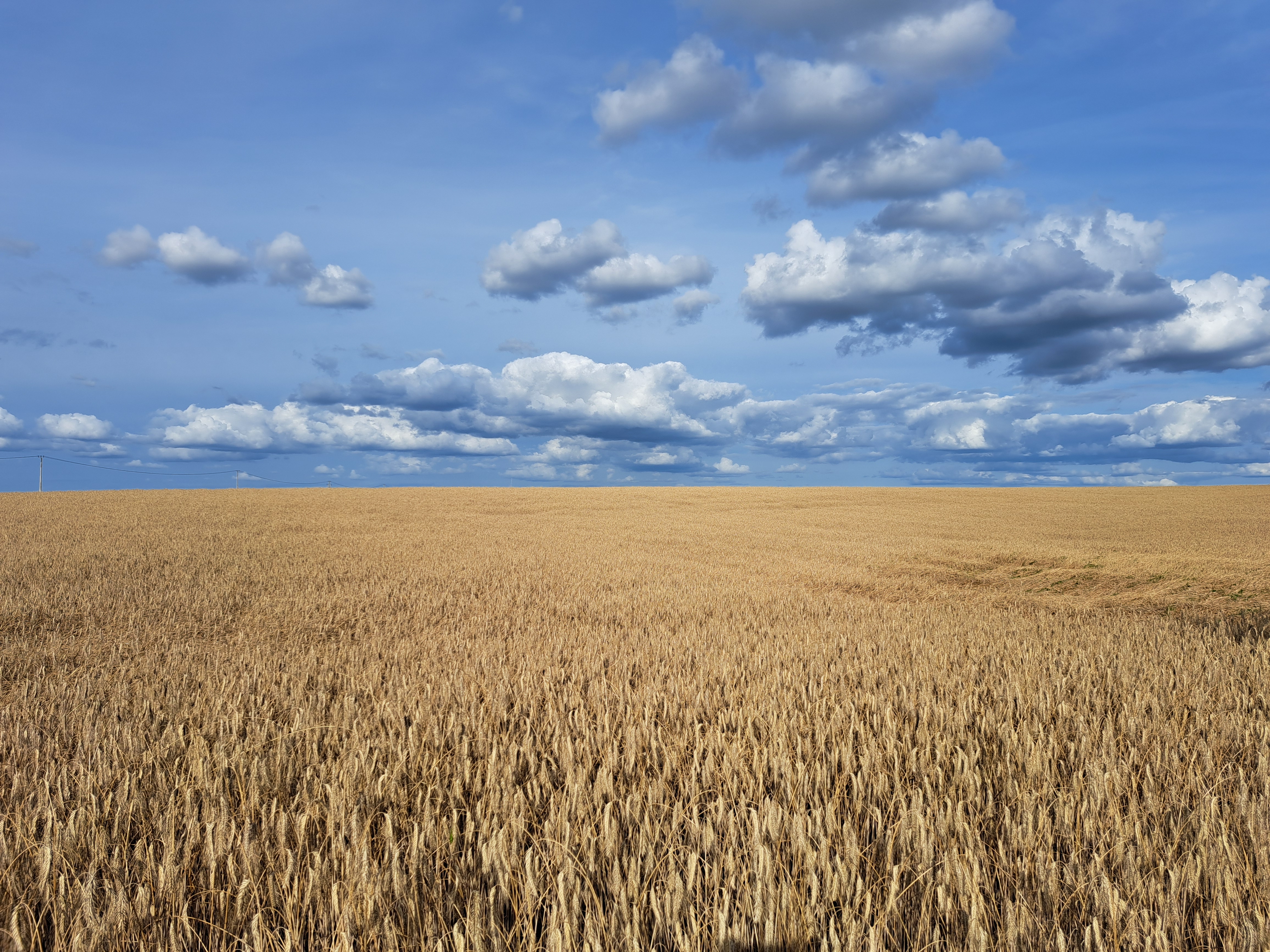 Żywność produkuje się na wsi – list otwarty PZPRZ