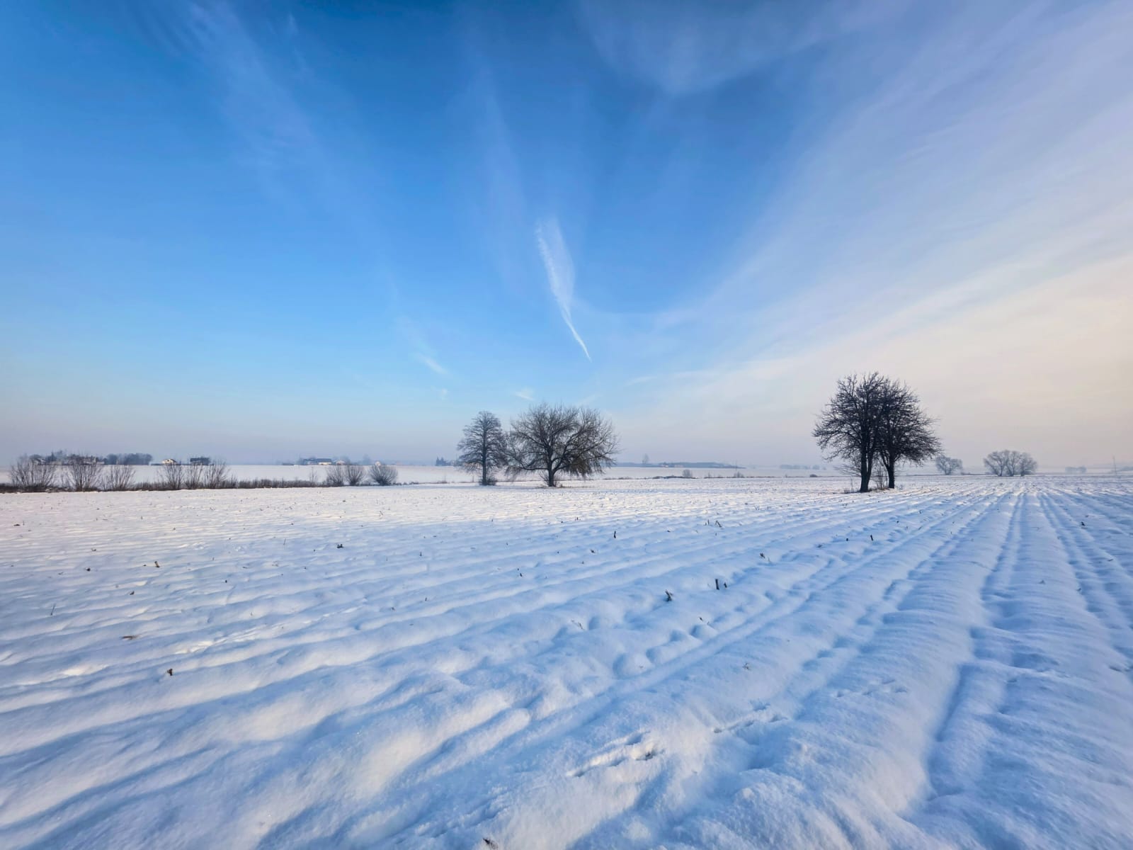PZPRZ przypomina o składce członkowskiej za 2026 rok