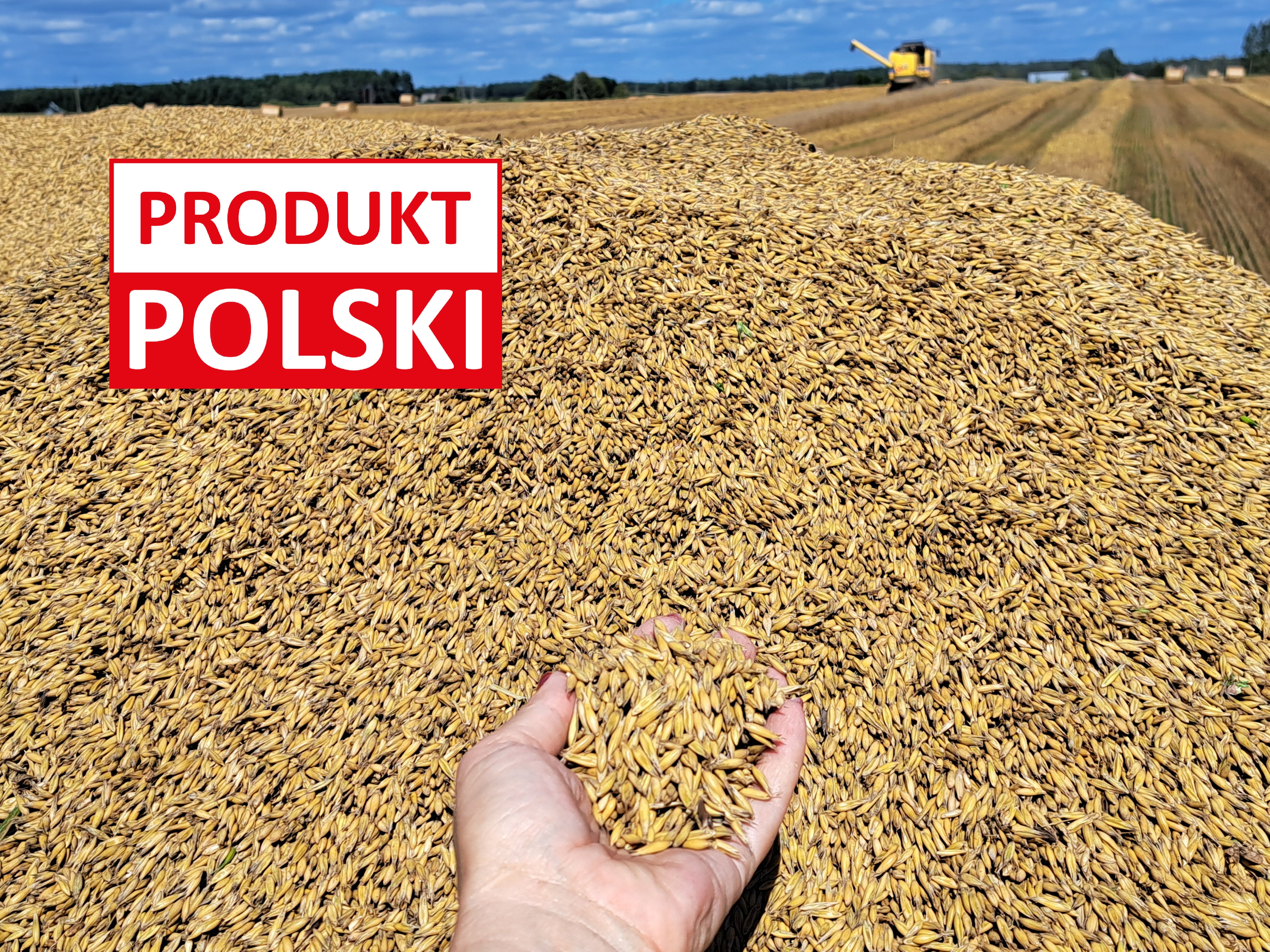 Produkt Polski – Apel Polskiego Związku Producentów Roślin Zbożowych
